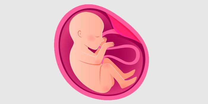 10 điều thú vị thai nhi muốn nói với mẹ qua &#34;những cú đạp&#34; - 8
