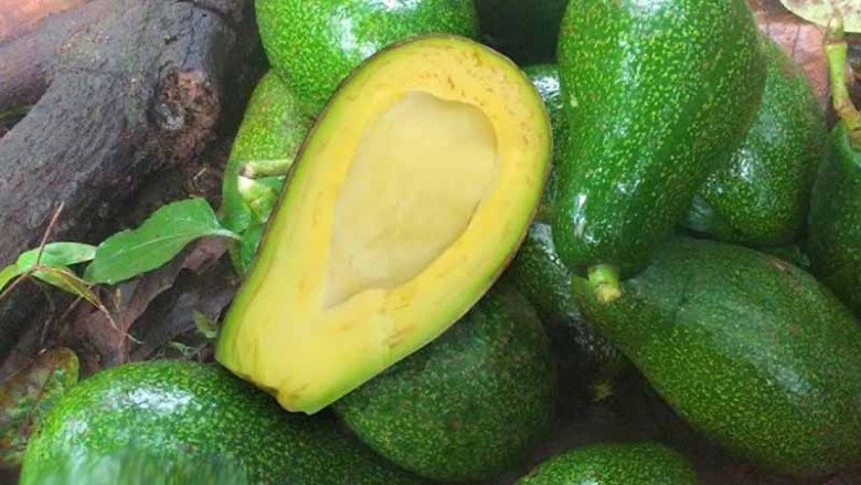 Cách làm kem bơ mướt mịn, không bị dăm đá đơn giản tại nhà - 2