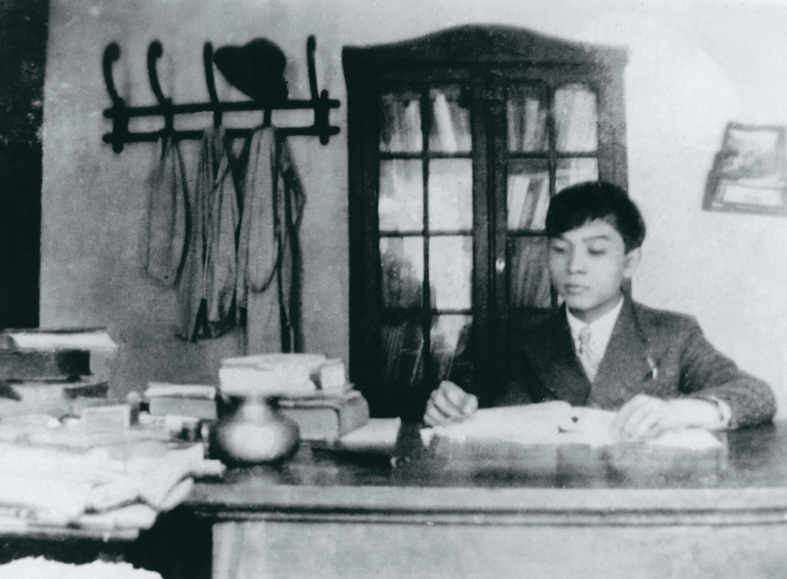 Đại tướng Võ Nguyên Giáp từng là nhà giáo dạy sử - 1