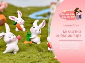 Truyện cổ tích: Tại sao thỏ không ăn thịt?