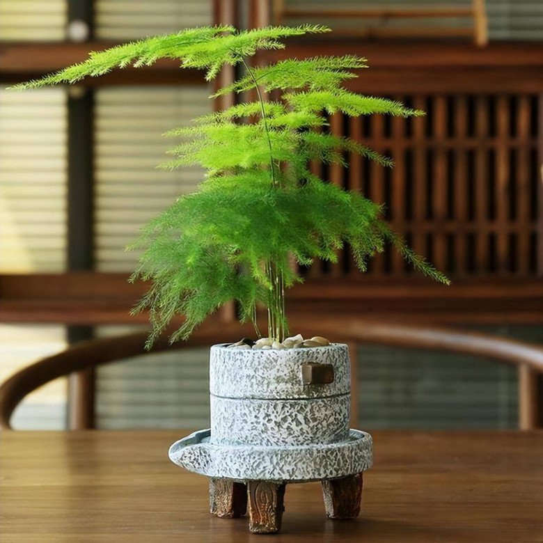 5 loại hoa cần cắt tỉa vào mùa đông, càng &#34;nhẫn tâm&#34; thì sang năm mới trổ nụ - 7