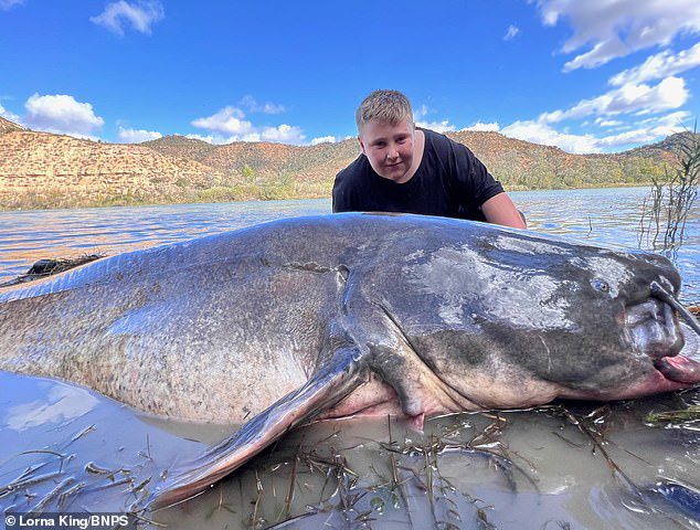 Cậu bé Anh câu được cá trê khổng lồ, phá kỷ lục thế giới - 2