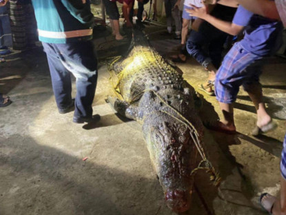 Malaysia: 2 lần giết cá sấu khổng lồ chỉ trong 4 ngày