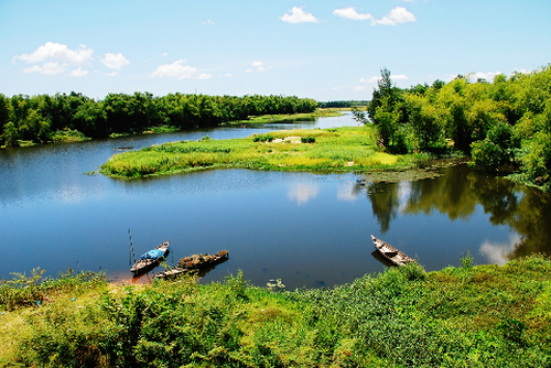 Cội xanh qua những lát cắt đời sống - 2