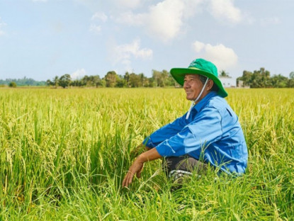 Thông tin doanh nghiệp - Phân Bón Cà Mau: Đa dạng lựa chọn, sẵn sàng bí kíp cho vụ đông xuân 2024 - 2025