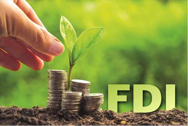 Thu hút vốn FDI xanh: Lợi thế nhiều, thách thức lớn - 3