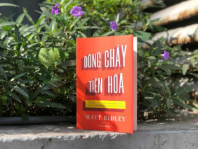 Dòng chảy tiến hóa: Cách các ý tưởng mới khởi phát trong tiến trình lịch sử loài người