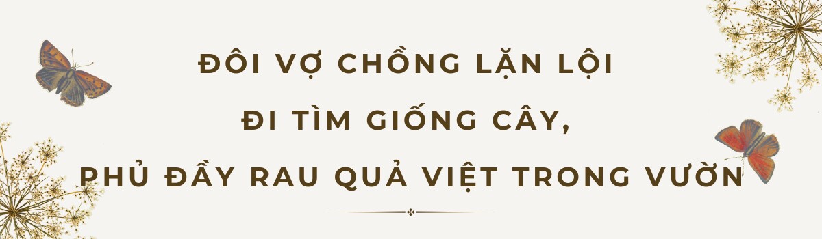 Anh chồng Mỹ tặng vợ Việt kém 37 tuổi mảnh vườn hơn 6.500m2, trồng đầy rau quả thuần quê hương vợ - 8