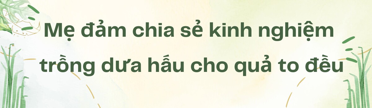 Mẹ đảm Sài Gòn làm vườn dưa hấu trên sân thượng 50m2, chia sẻ cách trồng cực chi tiết cho quả to đều - 4