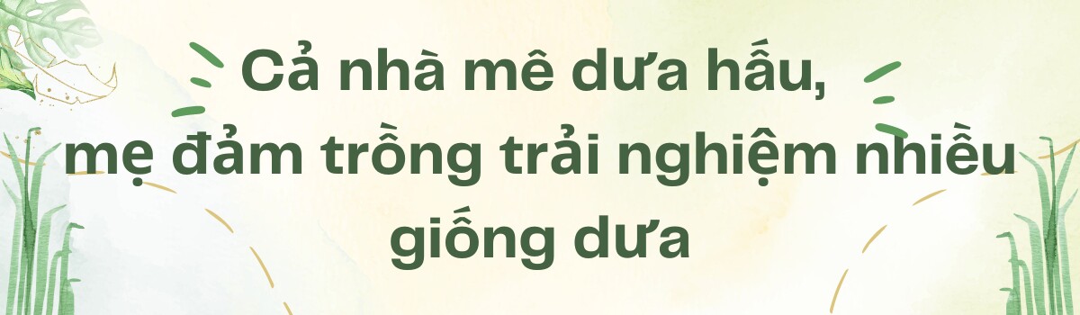 Mẹ đảm Sài Gòn làm vườn dưa hấu trên sân thượng 50m2, chia sẻ cách trồng cực chi tiết cho quả to đều - 1