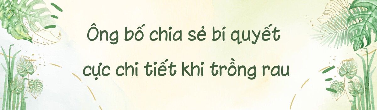 Ông bố Hà Nội trồng rau, nuôi cá trên mái nhà, chia sẻ bí quyết để có “khu vườn trên mây” vừa đẹp vừa xanh - 5