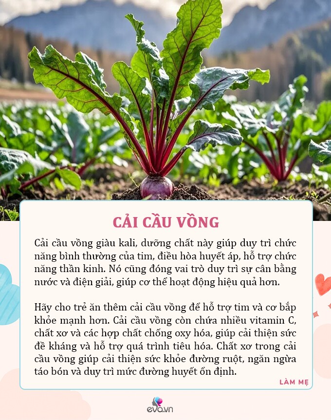 7 loại rau là "nhà vô địch" bổ dưỡng, dễ chế biến thành món ngon cho bé - 7