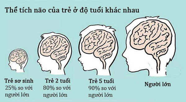 Khoa học não bộ: Làm 2 điều trước 5 tuổi quyết định tương lai trẻ thành công hay thất bại - 3