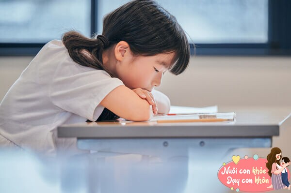 Được dạy sớm 6 thói quen này, trẻ chắc chắn học giỏi xuyên suốt 12 năm - 6