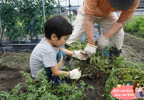 Chuyên gia tâm lý: Điều tạo nên tương lai thành công của đứa trẻ, không phải bố mẹ giàu có hay IQ cao mà là 4 điều này - 4