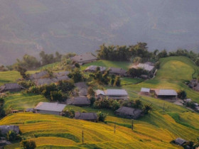 Bỏ túi những điểm săn lúa vàng Tây Bắc cực 