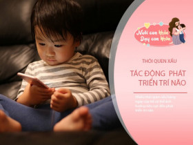 3 thói quen xấu "đánh cắp" trí thông minh và làm giảm điểm số, dù khó đến đâu hãy giúp con loại bỏ