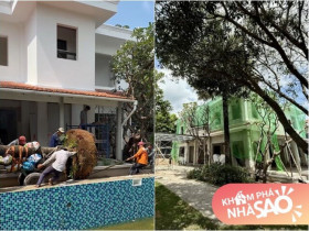Cận cảnh gần chục người kéo cây cao 9m biểu tượng tài lộc về trồng tại biệt thự 2.000m2 của Đỗ Mạnh Cường