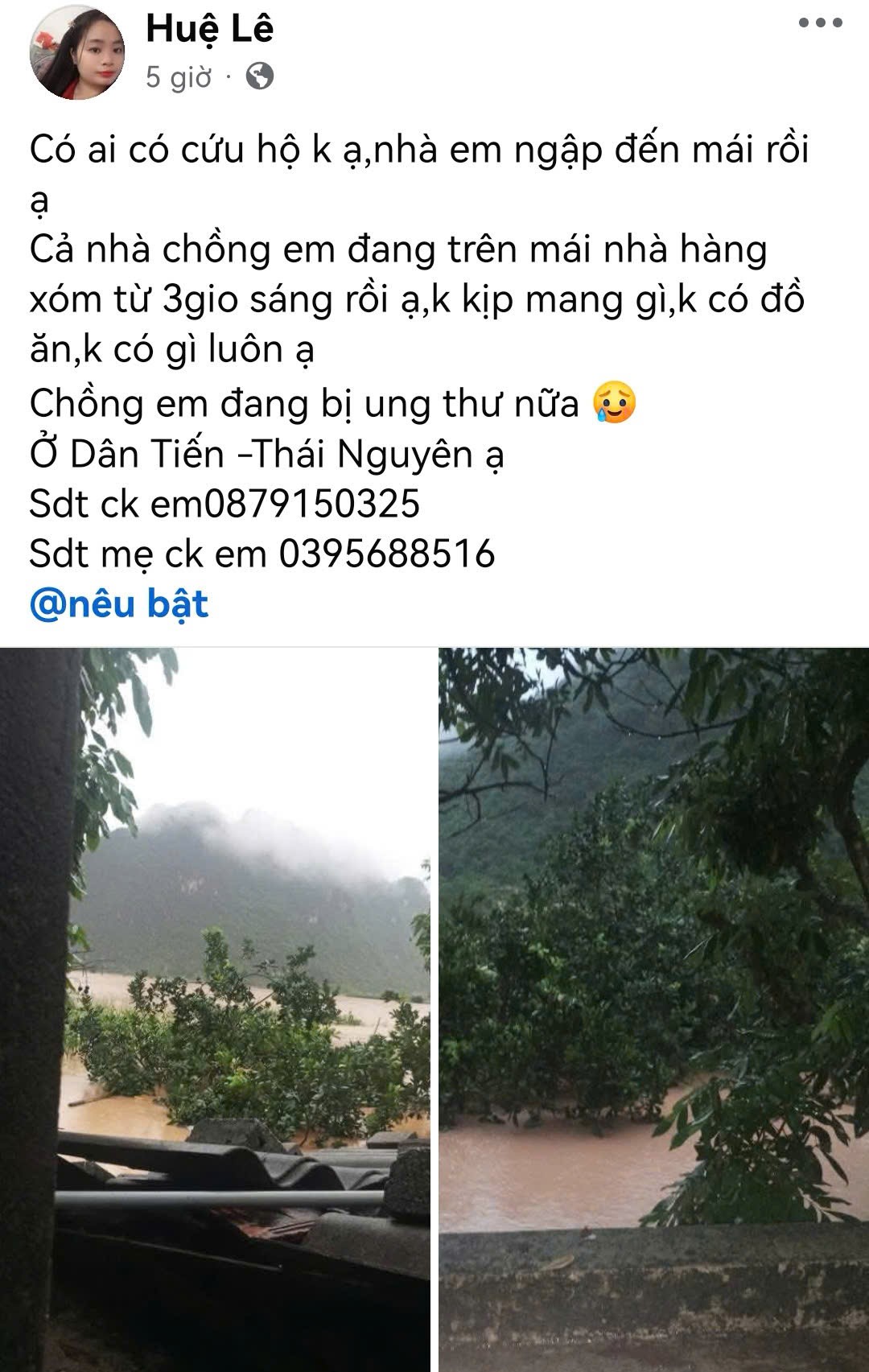 Người phụ nữ Thái Nguyên lên mạng cầu cứu - 4