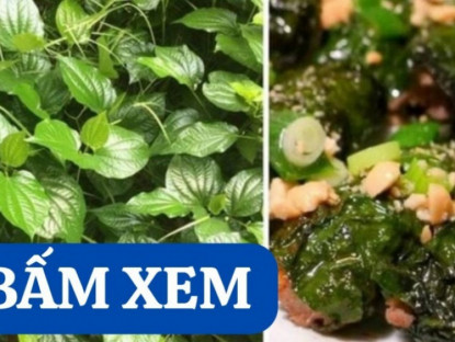 Thông tin doanh nghiệp - Niềm tin mới cho người bị viêm khớp, thoái hóa khớp nhờ giải pháp hỗ trợ cải thiện được chứng minh khoa học