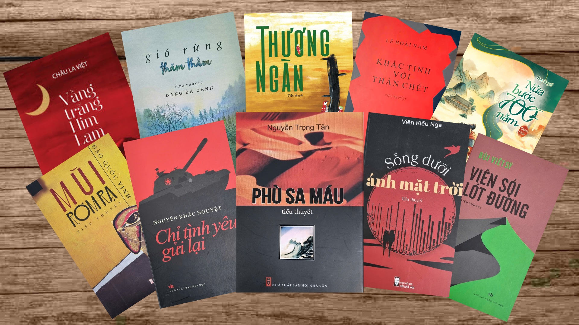Khẳng định sức sống bền bỉ và vị thế trung tâm của tiểu thuyết trong đời sống văn học Việt Nam - 13
