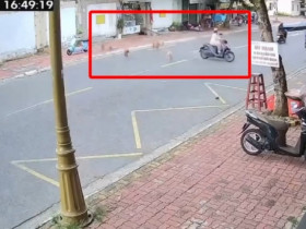 Clip: Đàn chó bất ngờ lao ra đuổi, người đi đường hoảng hồn quay xe bỏ chạy