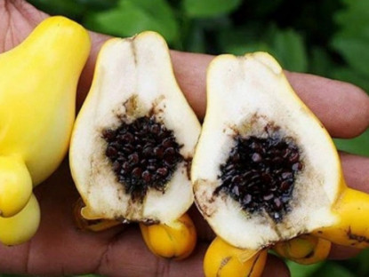 Thông tin doanh nghiệp - Thức trắng vì tiểu đêm liên tục? 4 tuyệt chiêu đơn giản giúp bạn ngủ một mạch tới sáng