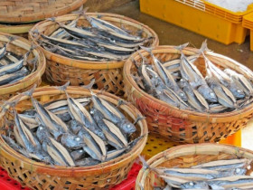 Loài cá lạ ở Việt Nam nghe tên ai cũng phải thốt lên 