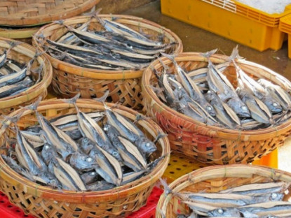 Kinh tế - Loài cá lạ ở Việt Nam nghe tên ai cũng phải thốt lên &quot;Ồ&quot;, xưa rẻ như cho nay hoá mỏ vàng