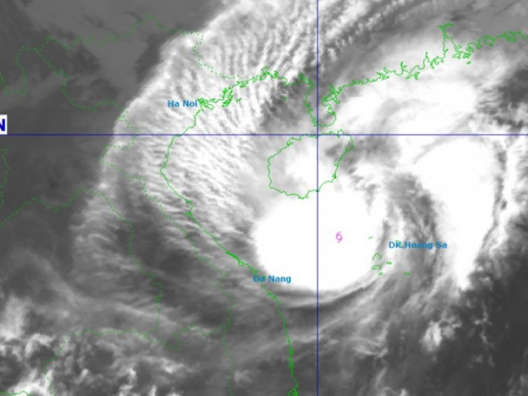 Google Trends Người dùng quan tâm Bão số 12 Thần Gió giật cấp 12, đang ...