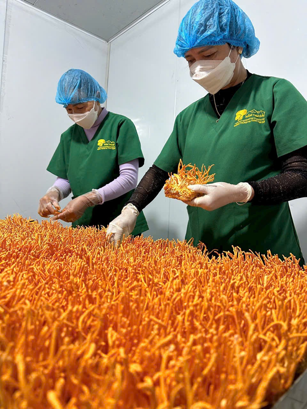 Người giám đốc năng động luôn tiên phong trong nghiên cứu ứng dụng KHCN - 3