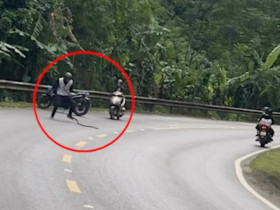 Clip: Thanh niên dừng xe giữa đường “tay không bắt rắn”, ai nhìn cũng thót tim