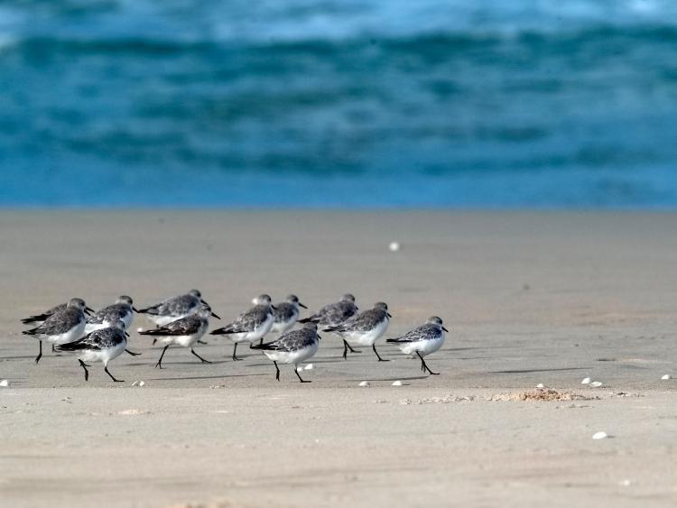 Hẹn ngoài vô tận (tản văn)