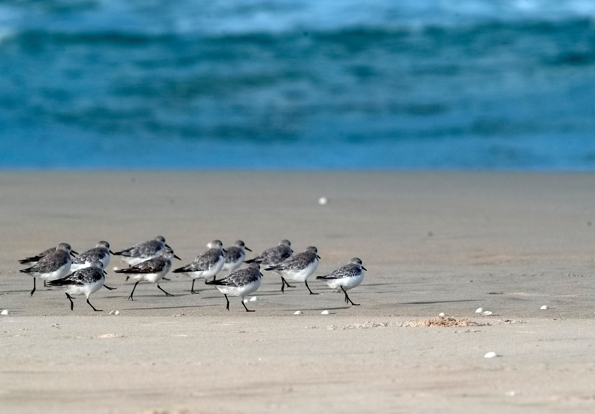 Hẹn ngoài vô tận (tản văn) - 1