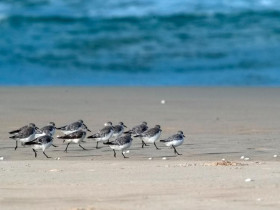 Hẹn ngoài vô tận (tản văn)