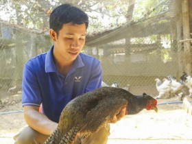9x Gia Lai bỏ phố về quê nuôi loài chim có trong Sách Đỏ, thu hàng trăm triệu đồng/tháng