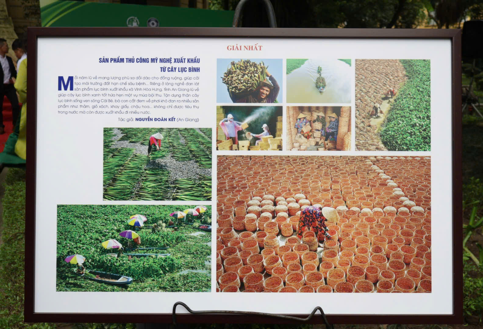 Tôn vinh những hành động xanh thông qua nghệ thuật nhiếp ảnh - 7
