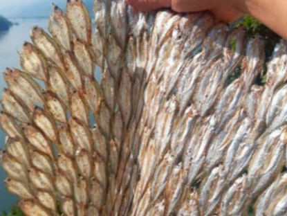 Kinh tế - Loại cá "nhà nghèo" trước cho không ai lấy, nay phơi khô bán 300.000 đồng/kg thành đặc sản