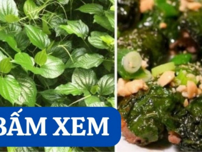 Thông tin doanh nghiệp - Loại lá quen thuộc trên mâm cơm người Việt lại là vị thuốc quý cho xương khớp