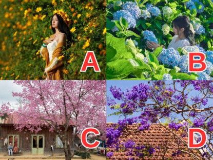 Gia đình - Trắc nghiệm: Chọn 1 mùa hoa yêu thích, đáp án sẽ cho biết tính cách em bé sắp sinh của bạn