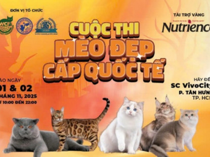 Thông tin doanh nghiệp - Siêu lễ hội Mèo Cưng – Mega Cat Fest 2025 trở lại với diện mạo bùng nổ