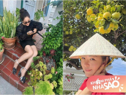 Gia đình - Vườn tuyệt đẹp trong biệt thự 30 tỷ của danh hài Thúy Nga: Ngập tràn sen đá, trái cây lúc lỉu trên đầu