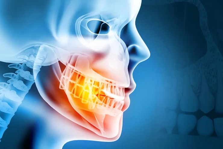 Khoa học tiến gần đến ước mơ mọc lại răng như thuở bé - 1