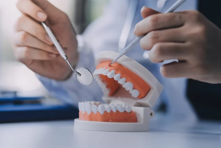 Khoa học tiến gần đến ước mơ mọc lại răng như thuở bé - 2