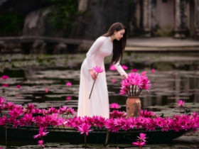 Say đắm mùa hoa súng đẹp như tranh giữa non nước Ninh Bình