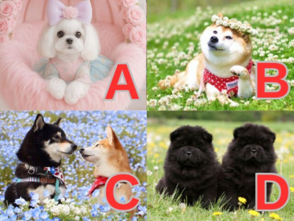 Gia đình - Trắc nghiệm: Chọn 1 chú cún theo trực giác để biết em bé sau này giống bố hay mẹ hơn