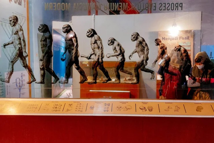 Bằng chứng hai loài tổ tiên của con người có thể đã cùng tồn tại - 2