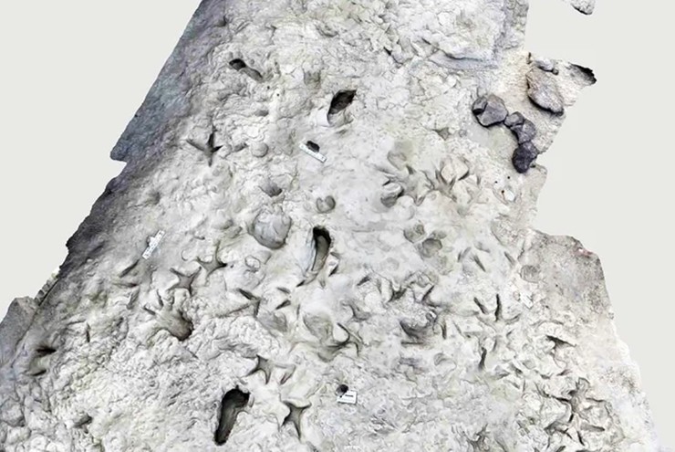 Bằng chứng hai loài tổ tiên của con người có thể đã cùng tồn tại - 1