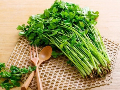 Gia đình - Mua nhiều rau mùi, đừng cho ngay vào tủ lạnh, thêm vài bước nữa để lâu vẫn xanh như mới