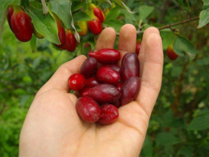 Thông tin doanh nghiệp - Mất ngủ mạn tính suốt nhiều năm: Điều bất ngờ nào giúp ngủ ngon sâu giấc, tinh thần phấn khởi